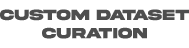curating custom dataset